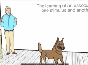 điều kiện hóa cổ điển (classical conditioning), cùng với các ví dụ và ứng dụng của nó